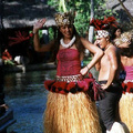 Polynesian Center12
