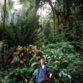 Tropical Botanical Garden08