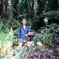 Tropical Botanical Garden01